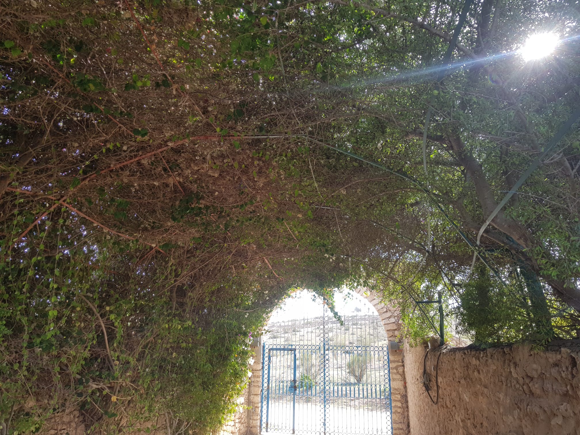 whatsapp image 2025 12 10 at 12.58.41 (1)