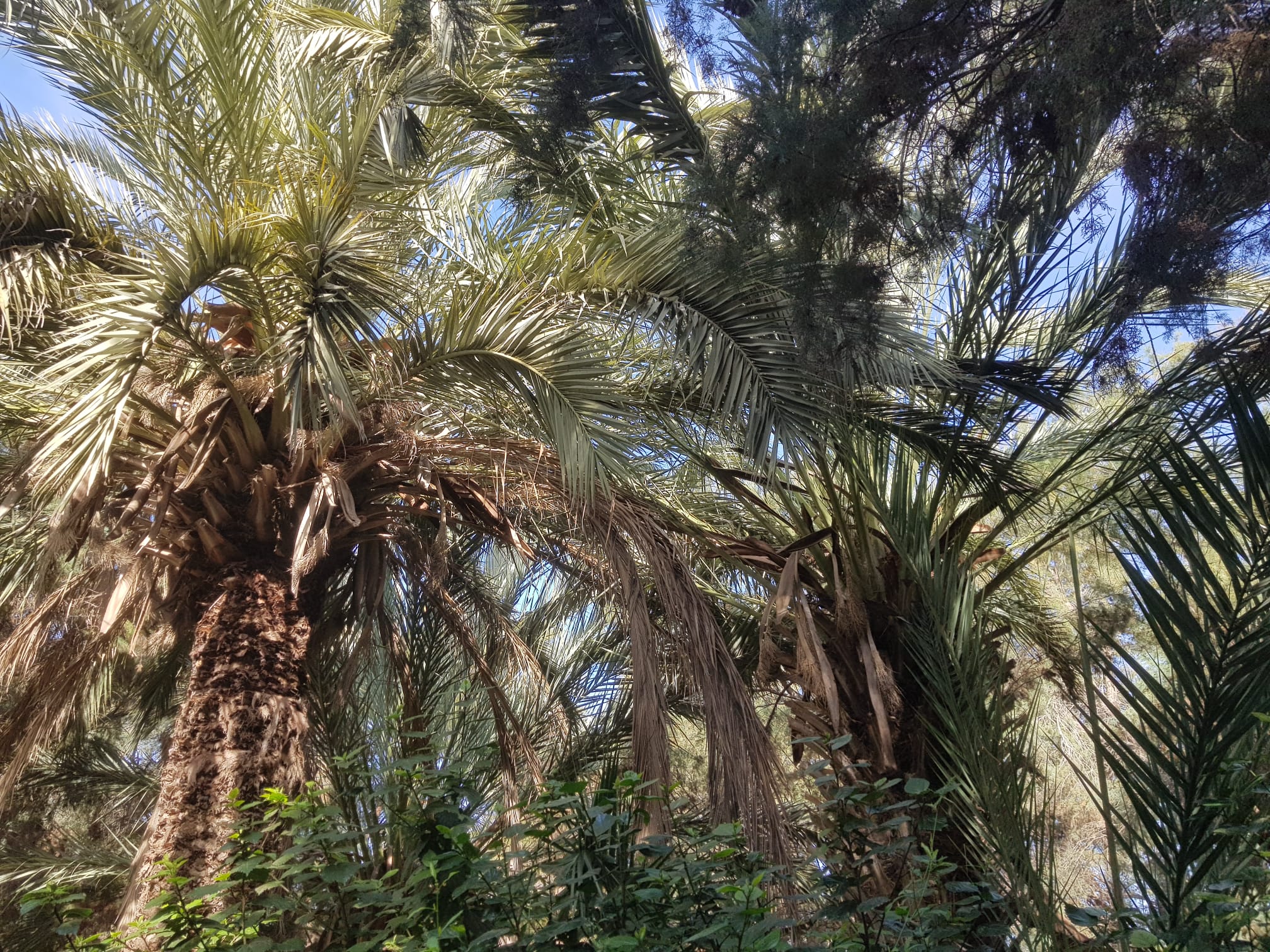 whatsapp image 2025 12 10 at 12.58.42 (1)