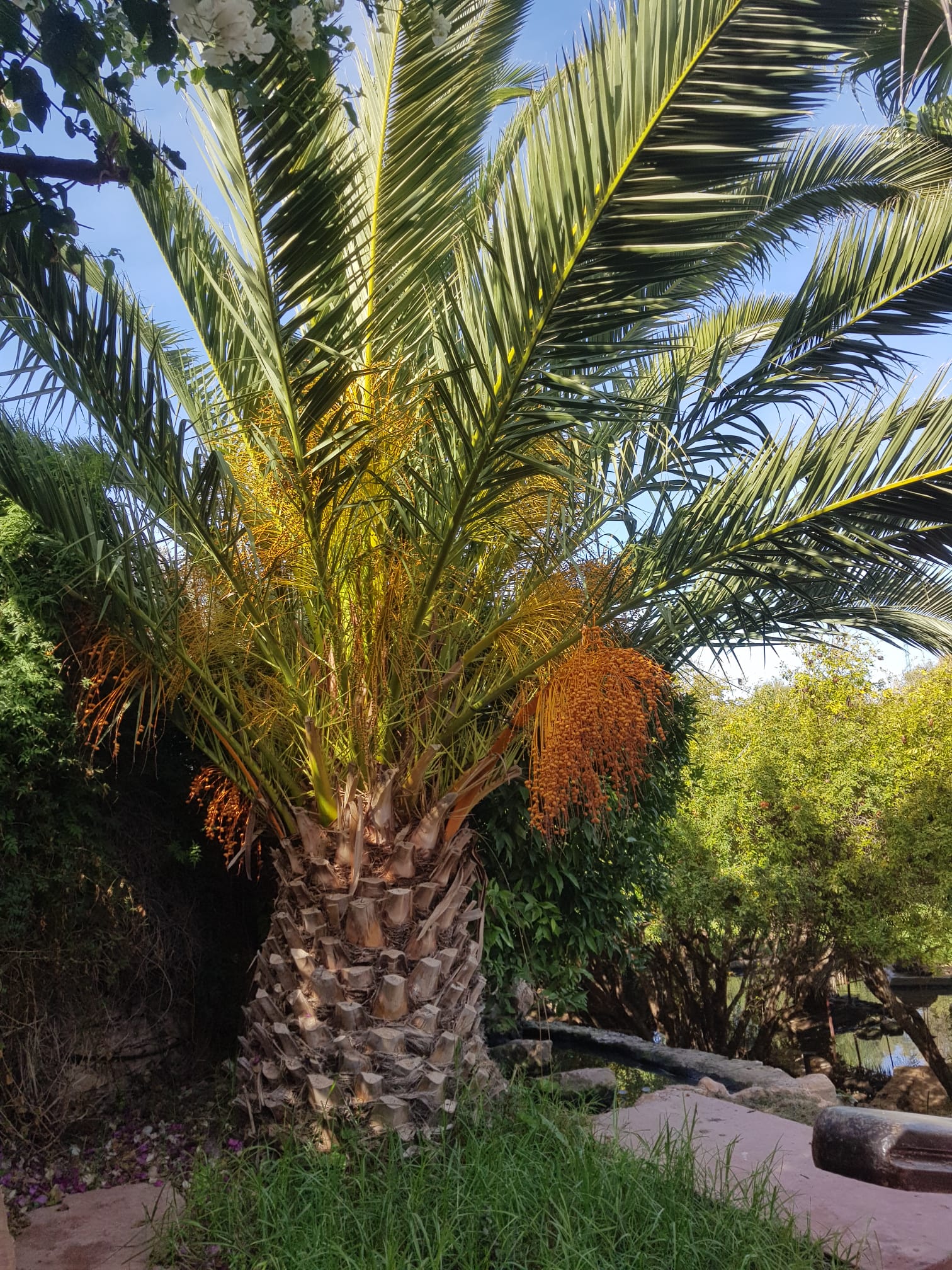 whatsapp image 2025 12 10 at 12.58.43 (1)