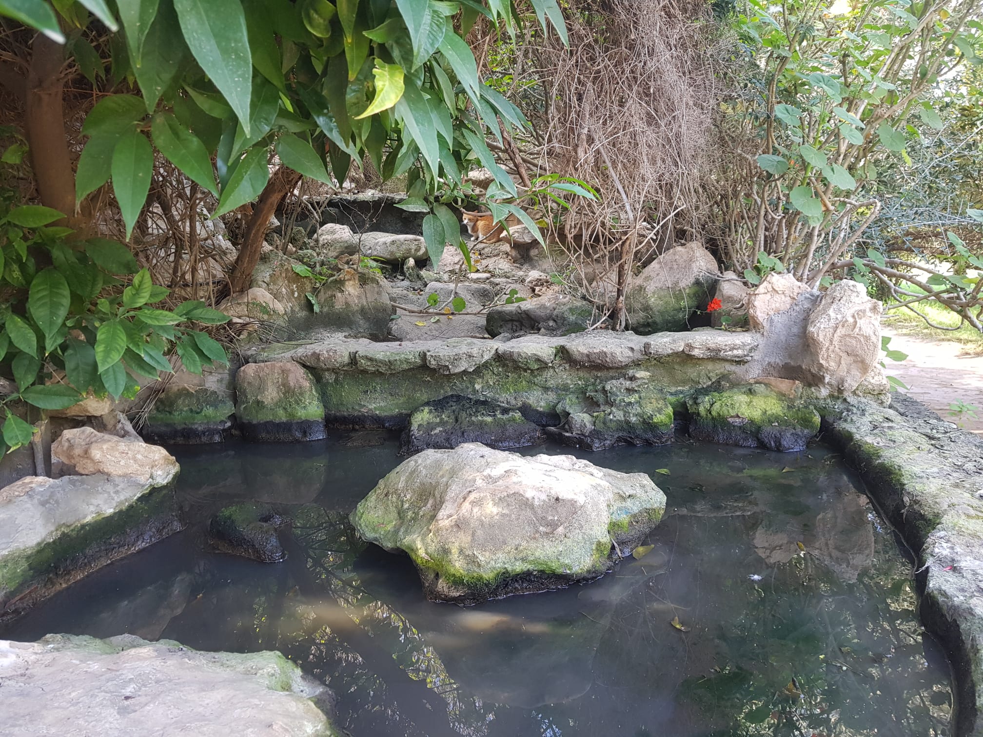 whatsapp image 2025 12 10 at 12.58.43 (2)