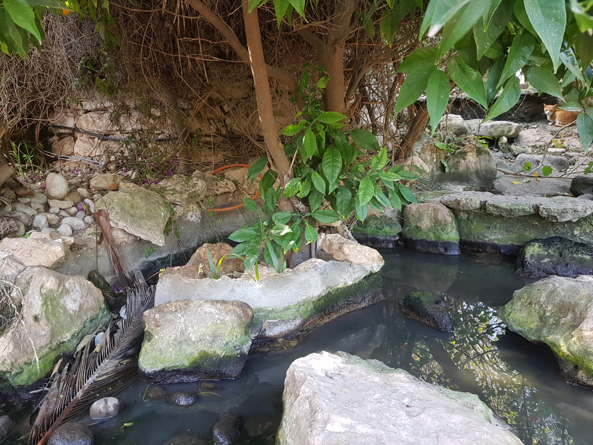 whatsapp image 2025 12 10 at 12.58.43 (3)